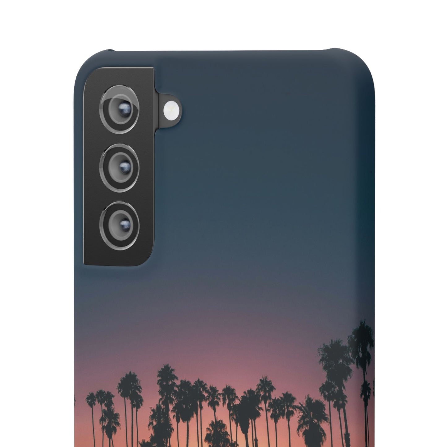 Tropical Sunset Cajasol - Vibrant Palm Tree