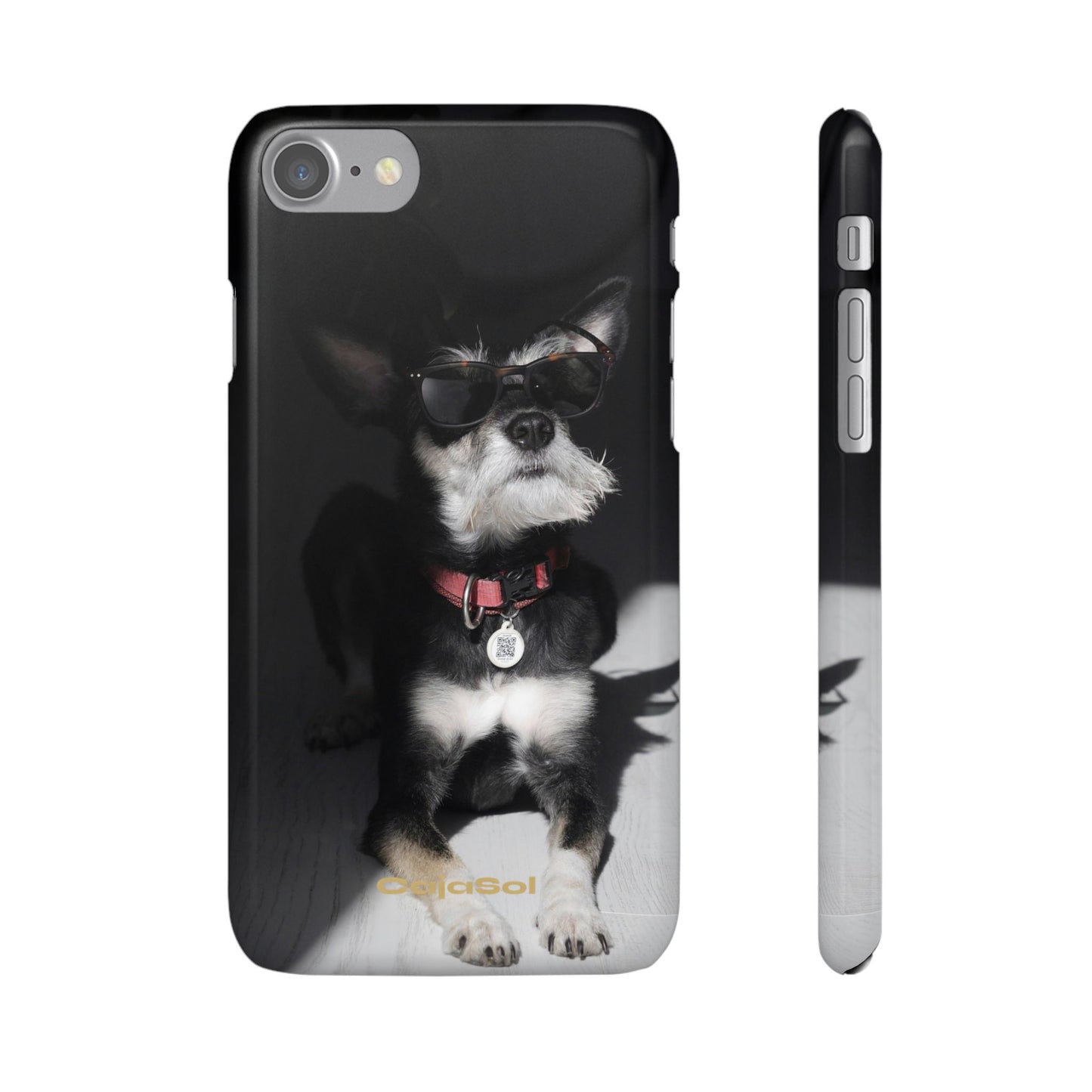 Cool Dog Cajasol - Stylish Pet